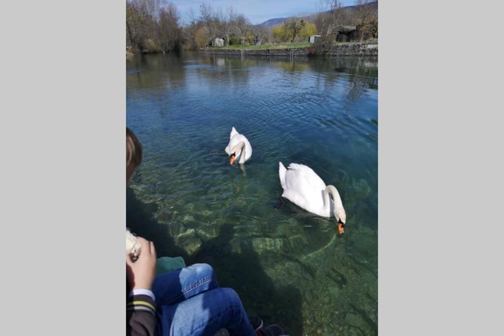 Le Portougais, Chalet A Chanaz, La Petite Venise Savoyarde エクステリア 写真